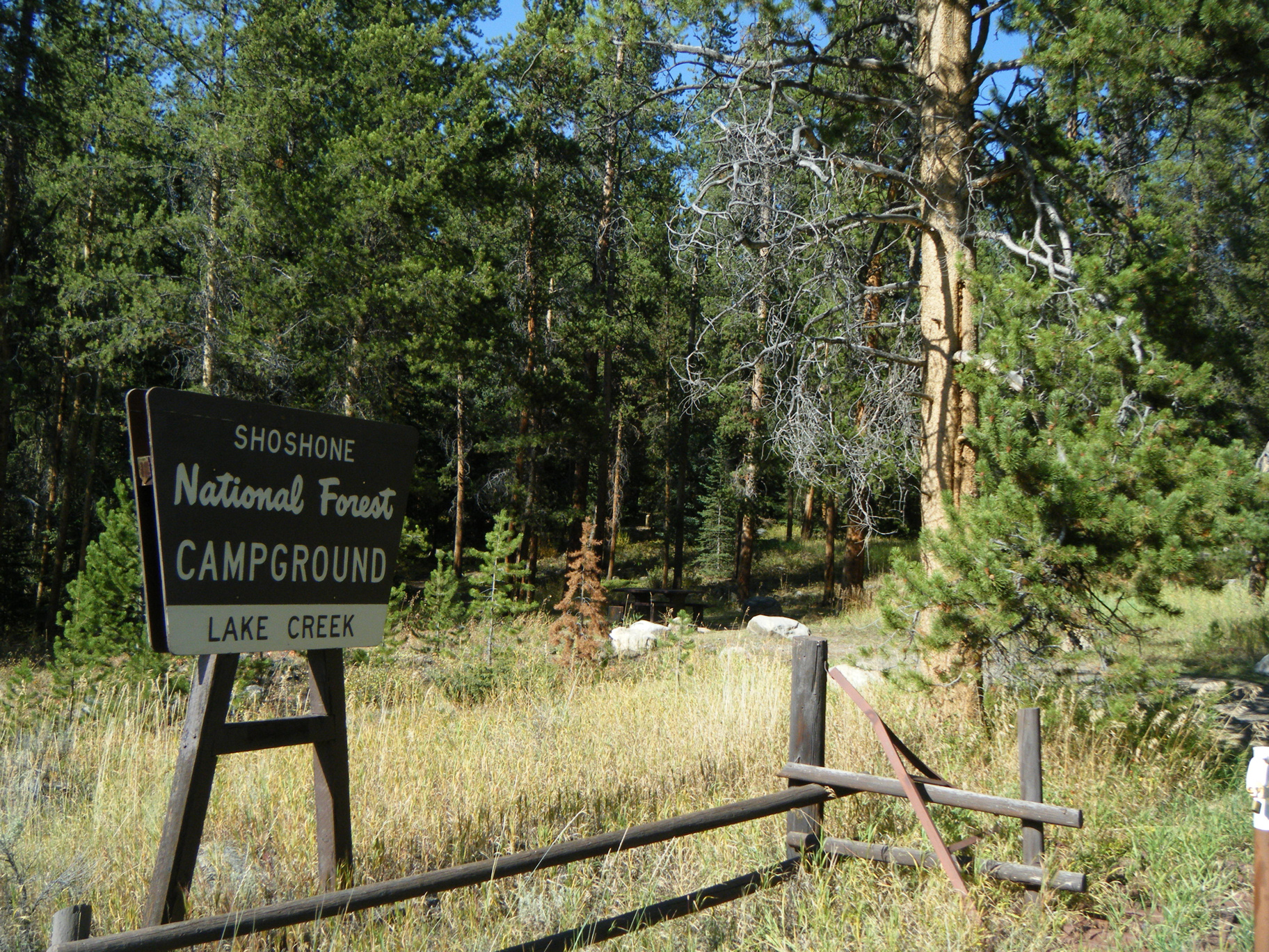 Der echte Shoshone National Forest.