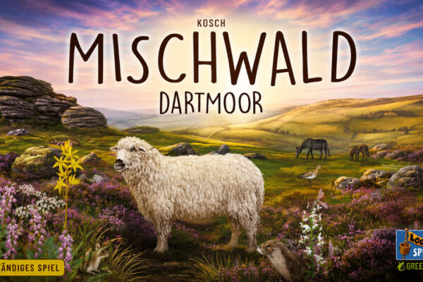 Mischwald: Dartmoor